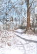 22 - Barbara Hilton - 'Winter Walk'.JPG